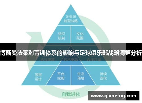 博斯曼法案对青训体系的影响与足球俱乐部战略调整分析